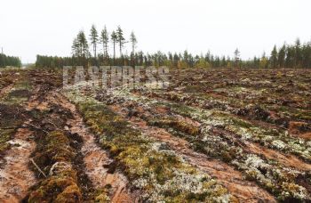 EA311817, Eastpress, Pyhäntä, Finland